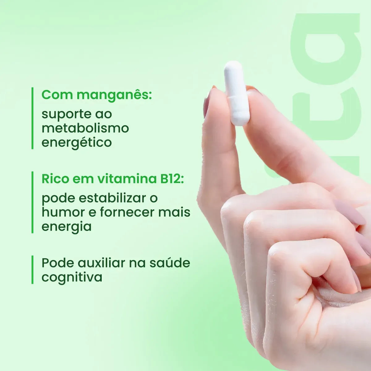 Complexo B 60 cápsulas